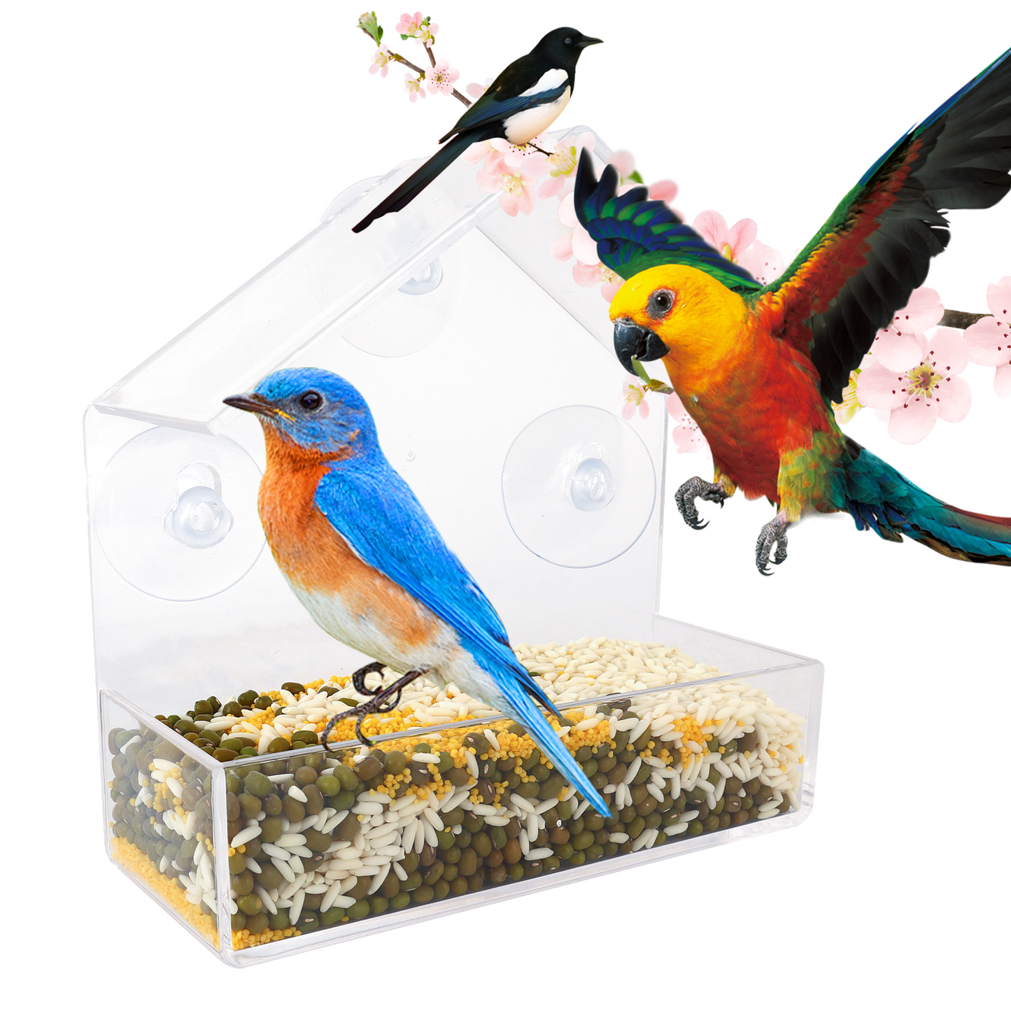 Window Bird Feeders Clear Bird Feeder Outdoor Hanging with Strong Suction Cups
