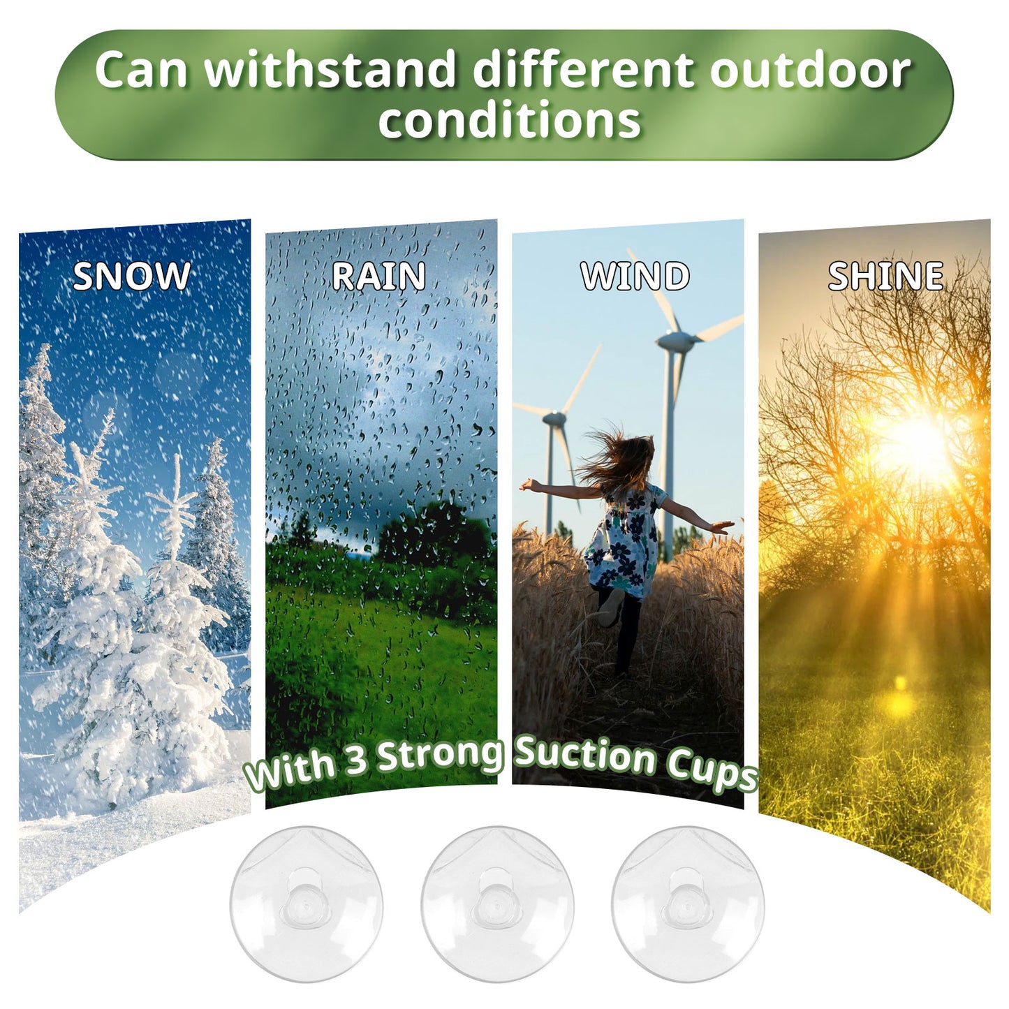 Window Bird Feeders Clear Bird Feeder Outdoor Hanging with Strong Suction Cups