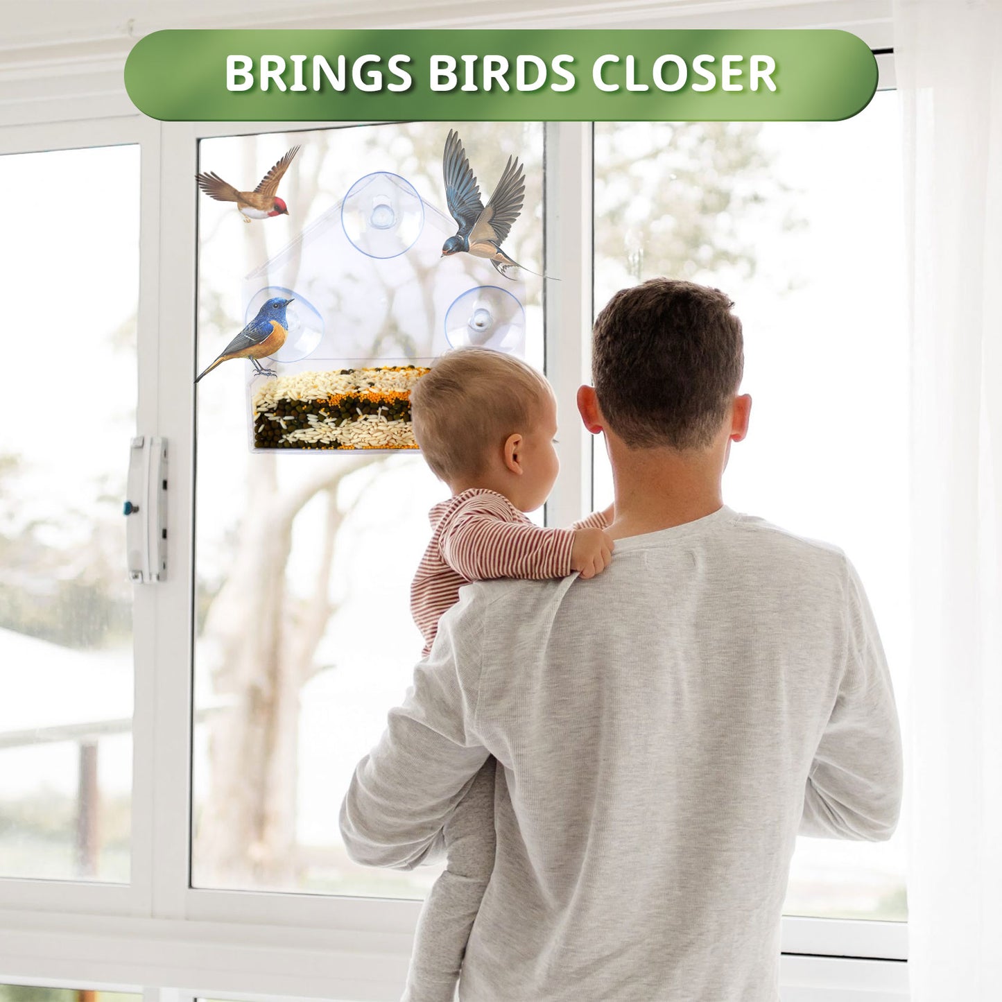 Window Bird Feeders Clear Bird Feeder Outdoor Hanging with Strong Suction Cups