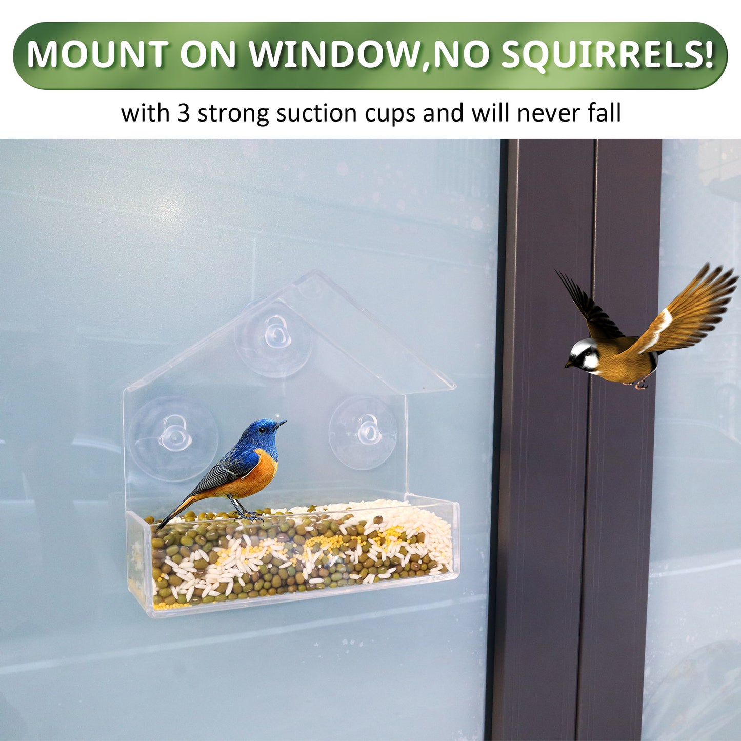 Window Bird Feeders Clear Bird Feeder Outdoor Hanging with Strong Suction Cups